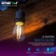 LED Filament Festoon Lighting Kit