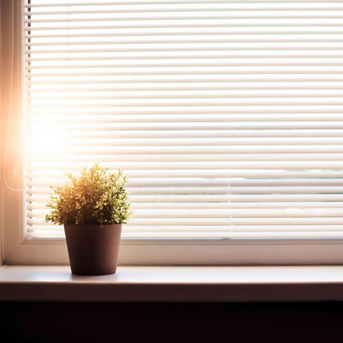 sunlight.jpg