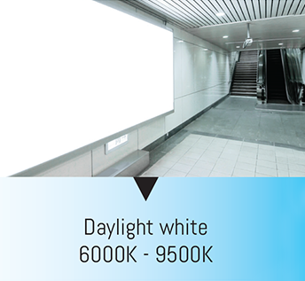 temp_guide_daylight.png